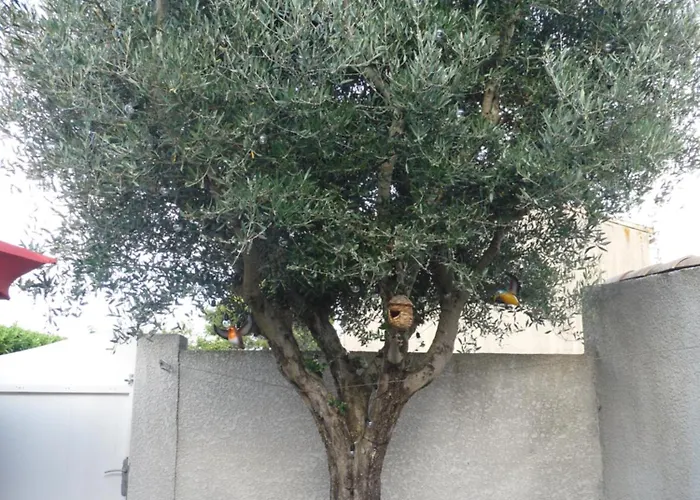 Maison L'ollivia - Terrasse - Parking Gratuit Vakantiehuis *